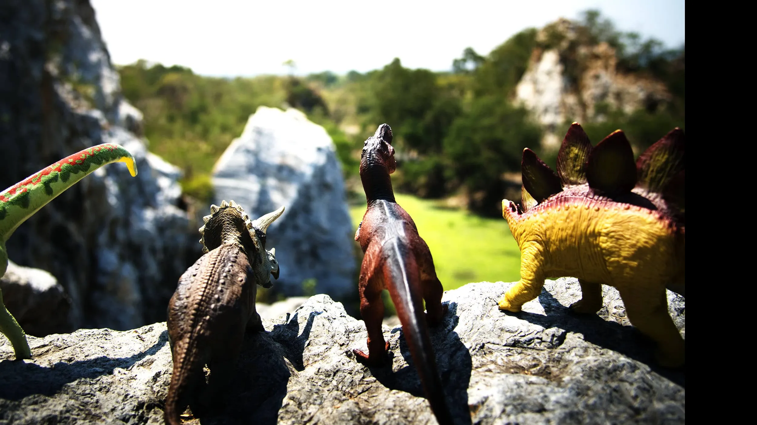 Dinosaurs